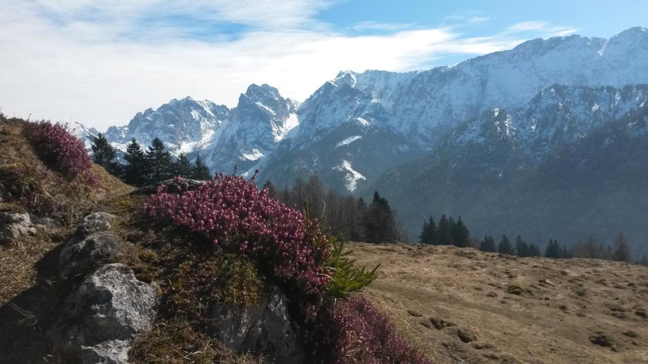 Apartamento Haus Tirol Thiersee Exterior foto